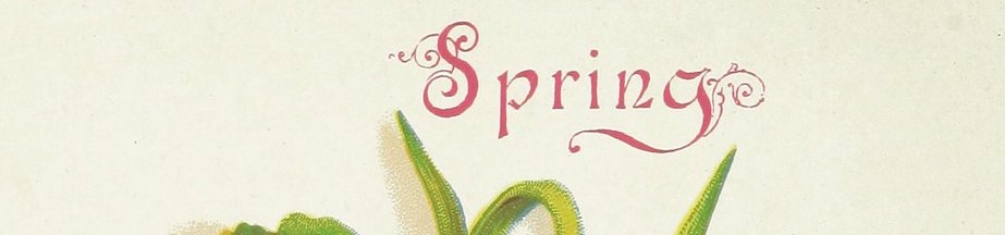 Bon printemps à notre public de l'hémisphère nord! Une image recadrée avec le mot printemps.
